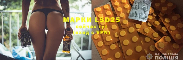 ГАЛЛЮЦИНОГЕННЫЕ ГРИБЫ Белокуриха