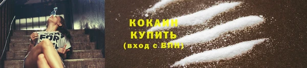 ГАЛЛЮЦИНОГЕННЫЕ ГРИБЫ Белокуриха