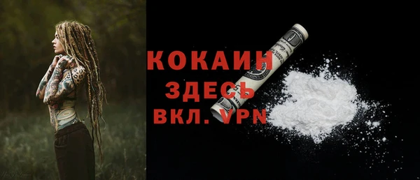 ГАЛЛЮЦИНОГЕННЫЕ ГРИБЫ Белокуриха