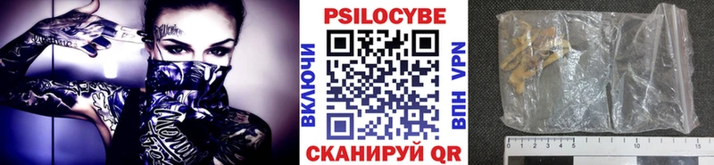 Псилоцибиновые грибы прущие грибы  Дагестанские Огни 