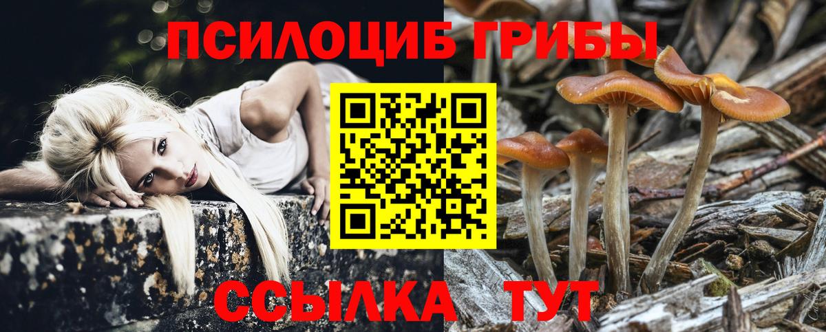 Дагестанские Огни  Галлюциногенные грибы GOLDEN TEACHER  Вход с VPN 